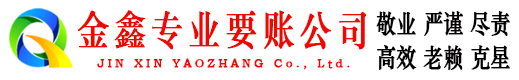 镇安清账公司